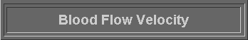  Blood Flow Velocity 